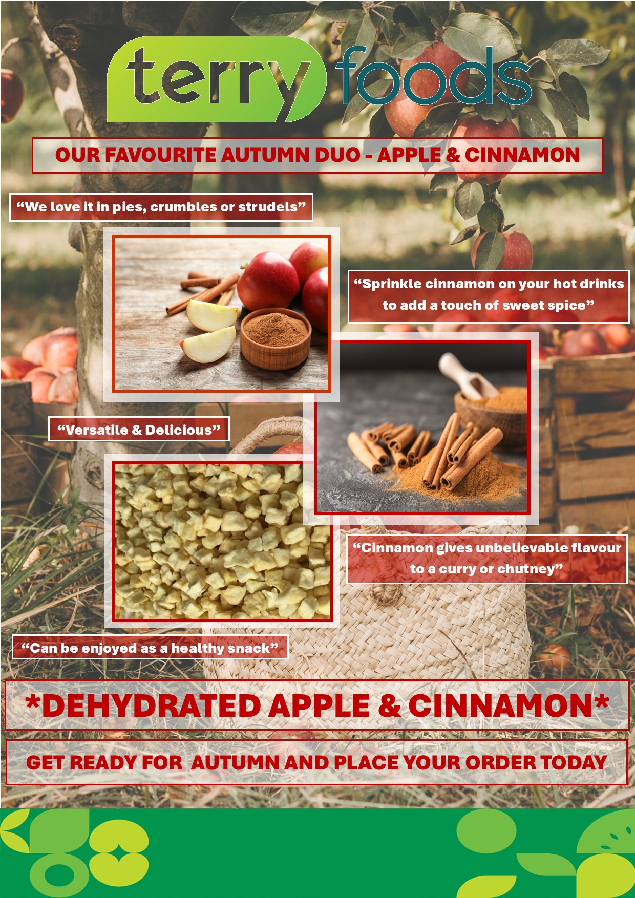 Dehydrated_Apple_Cinnamon.jpg