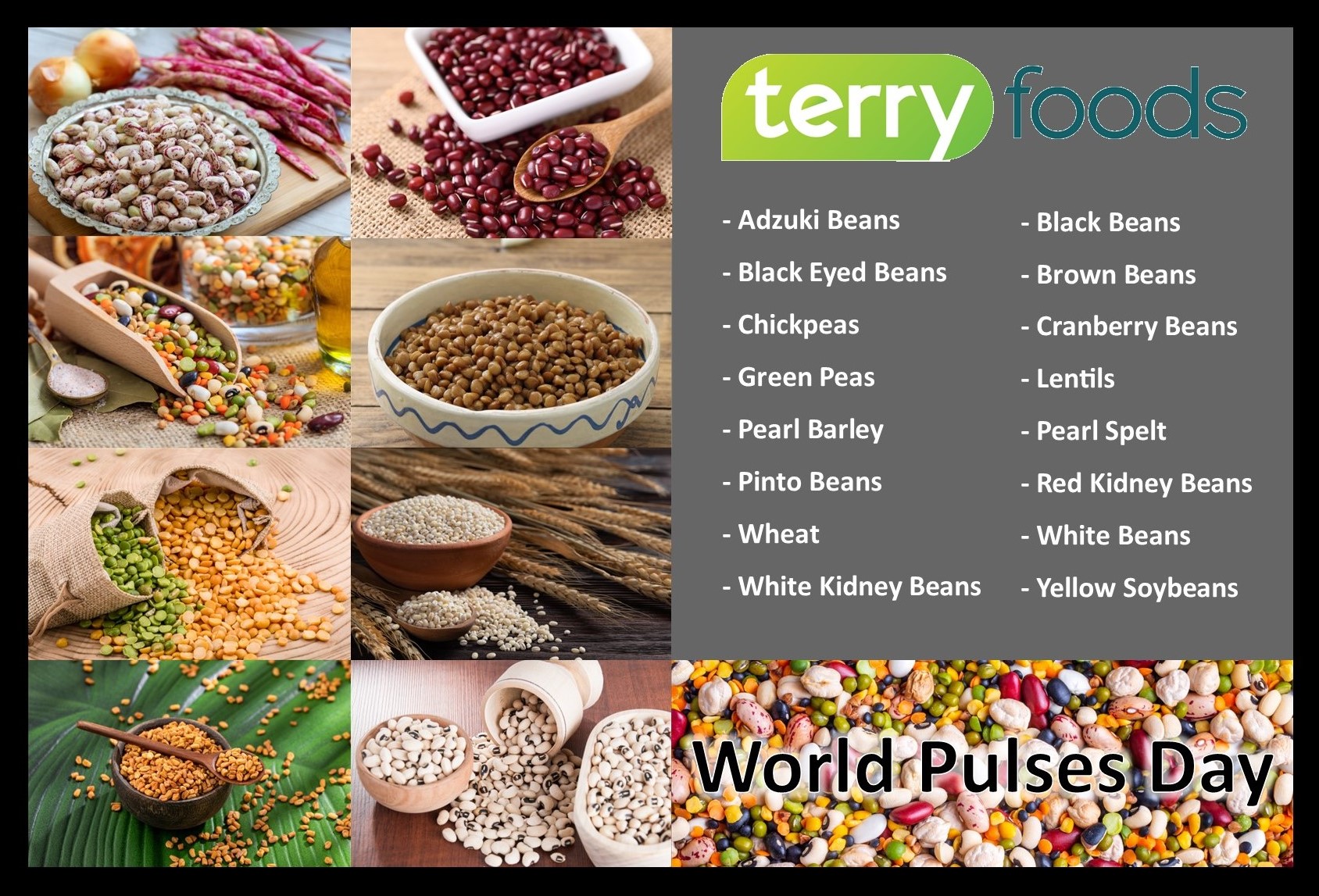 February_10_World_Pulses_Day_2.jpg